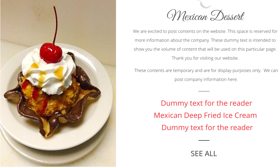 Mexican Dessert  We are excited to post contents on the website. This space is reserved for more information about the company. These dummy text is intended to show you the volume of content that will be used on this particular page.  Thank you for visiting our website.  These contents are temporary and are for display purposes only.  We can post company information here.  Dummy text for the reader   Mexican Deep Fried Ice Cream Dummy text for the reader  SEE ALL